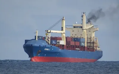 Tráfego marítimo sobrepõe rotas de navios a habitats de baleias e golfinhos