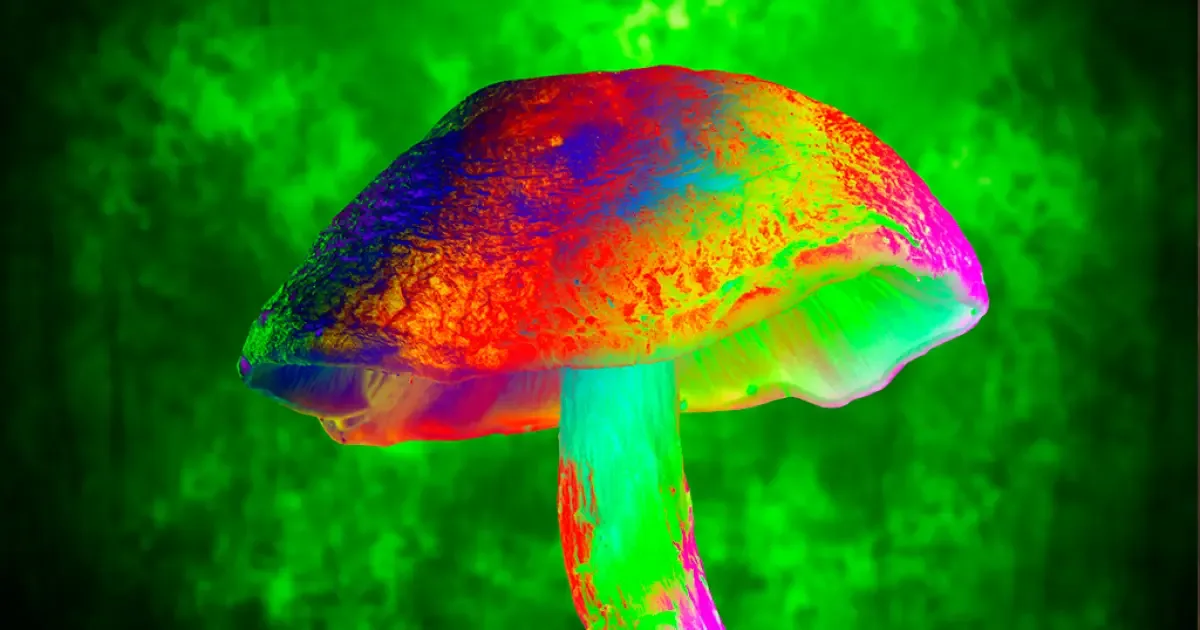 Psilocibina protege nervos de camundongos contra efeitos da quimioterapia