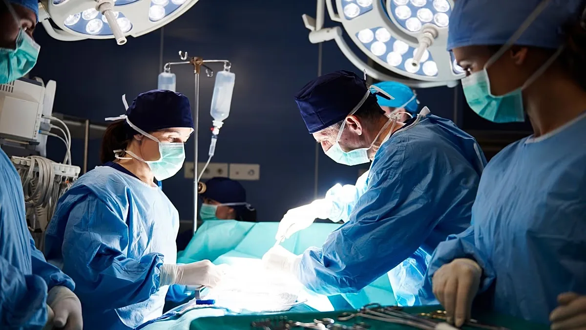 Estudo aponta diferenças entre médicos e IA na escolha de pacientes para transplante renal