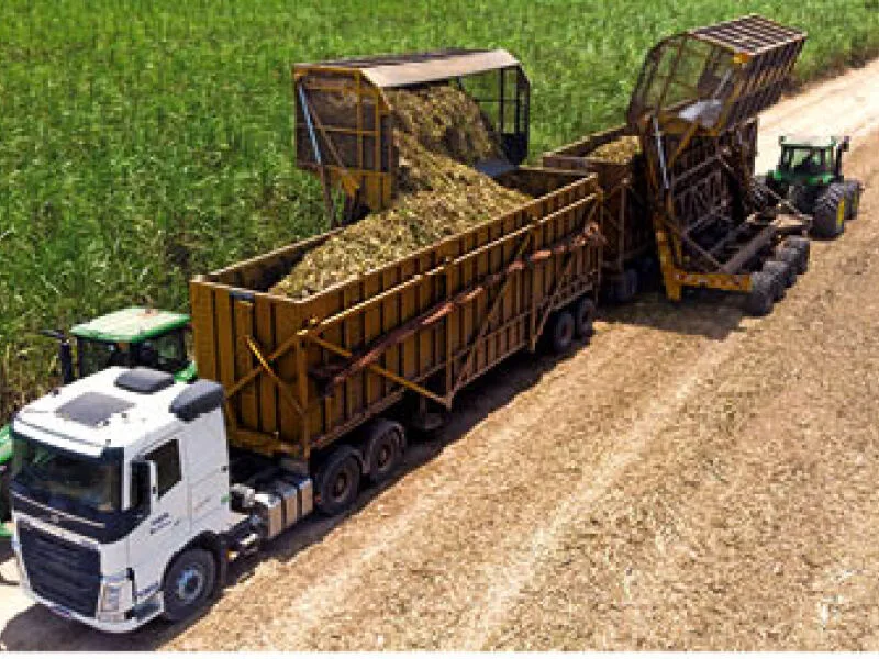 Soja, milho e arroz concentram 92,9% da safra agrícola prevista para 2026