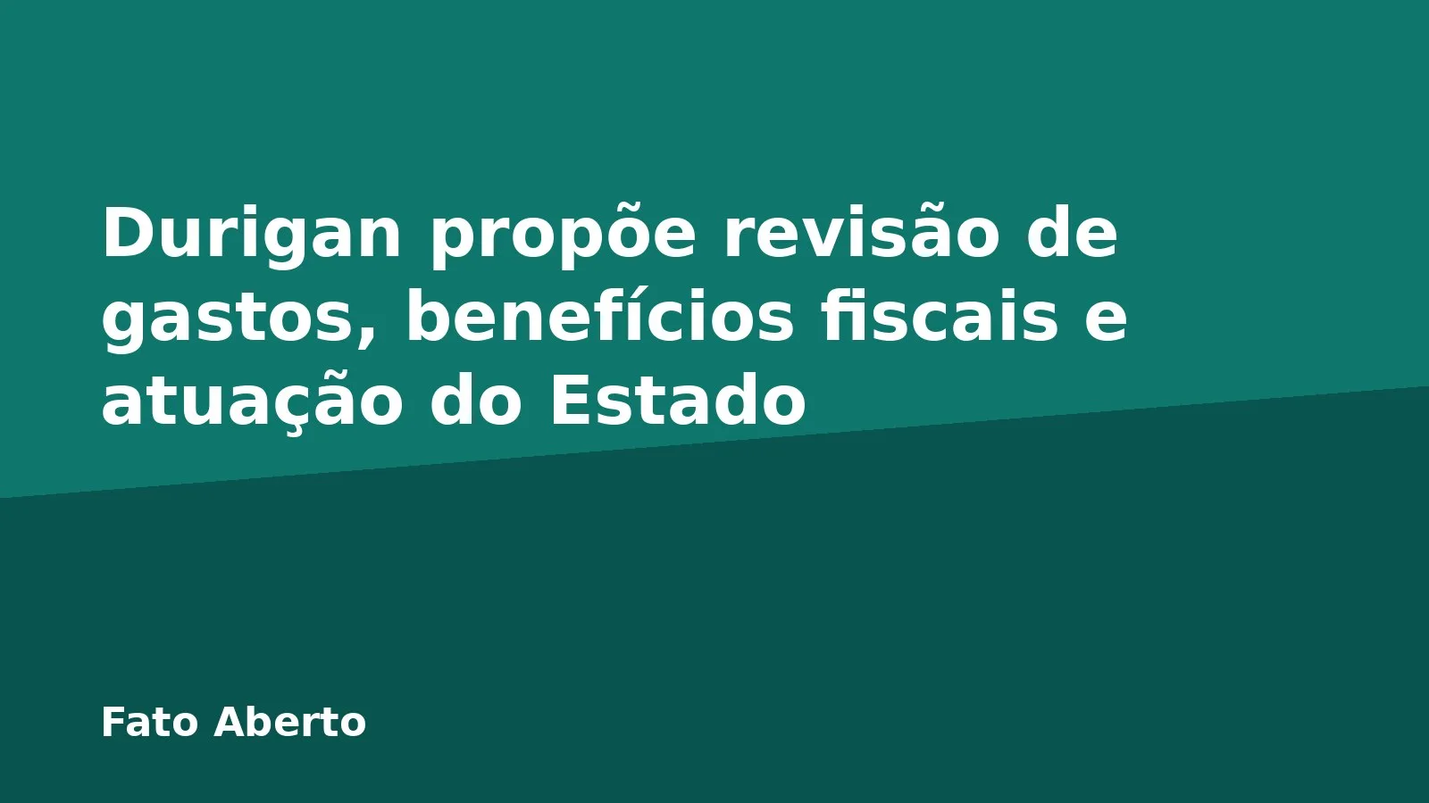 Durigan propõe revisão de gastos, benefícios fiscais e atuação do Estado