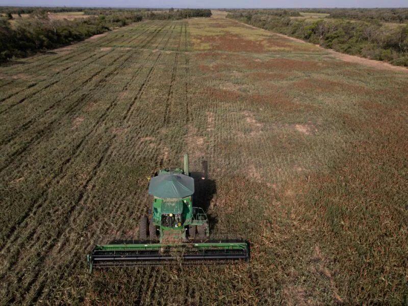 El Niño pode reduzir produtividade de grãos em 2027, aponta Banco Central