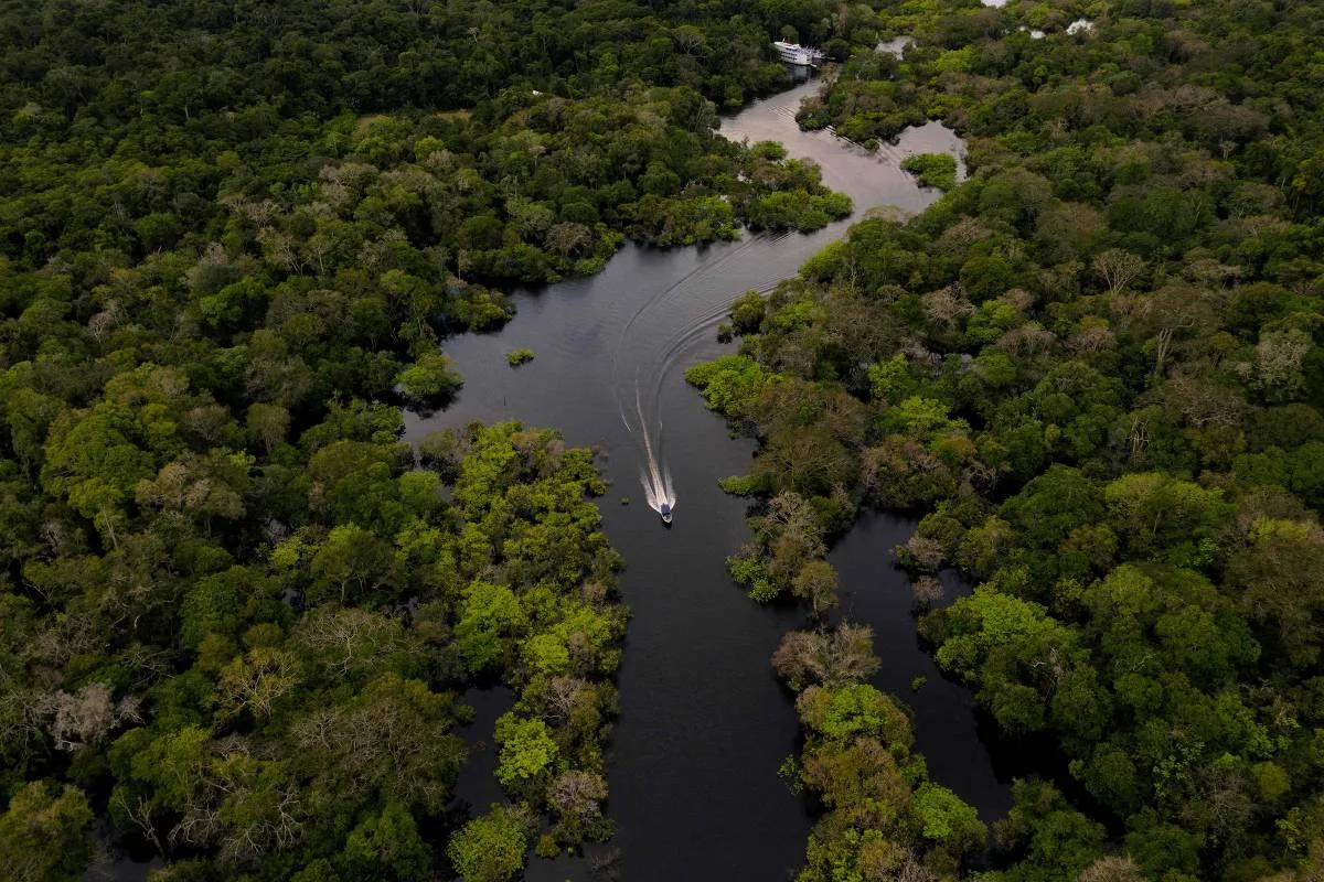Fundo Brasil destinou R$ 141 milhões a iniciativas em 20 anos
