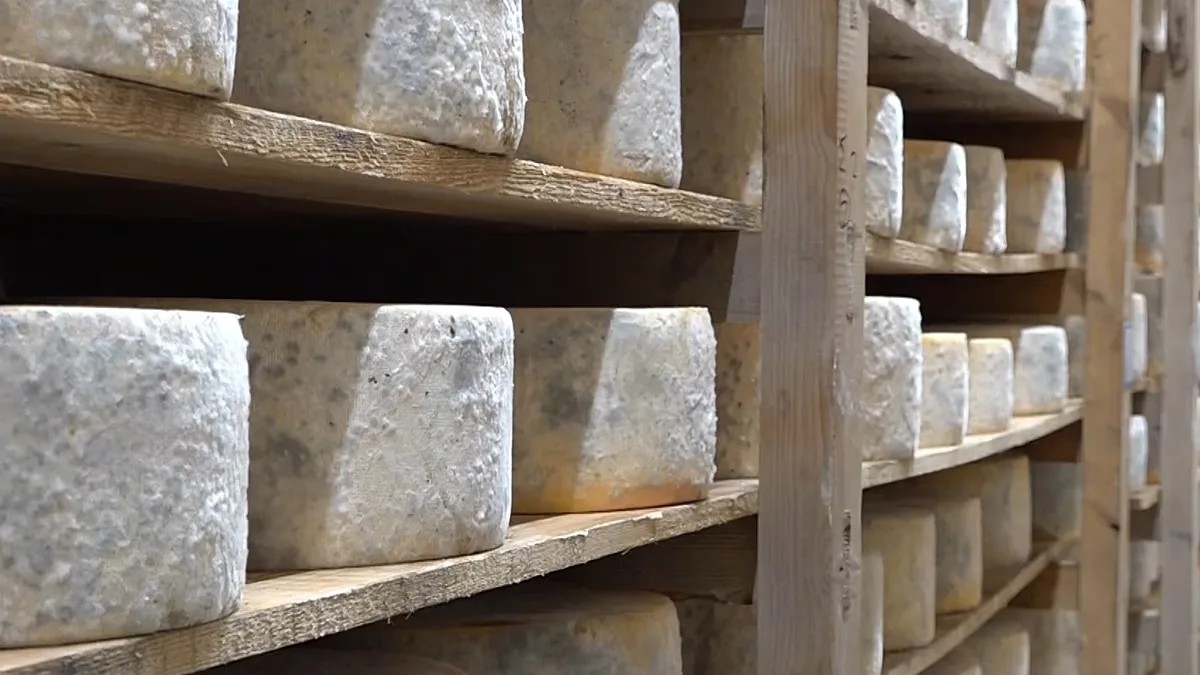 Graviera de Naxos ganha reconhecimento global, mas produção de leite limita oferta
