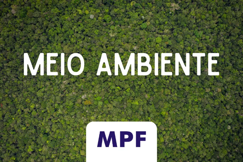 Justiça exige rastreabilidade de cassiterita ligada à Terra Yanomami