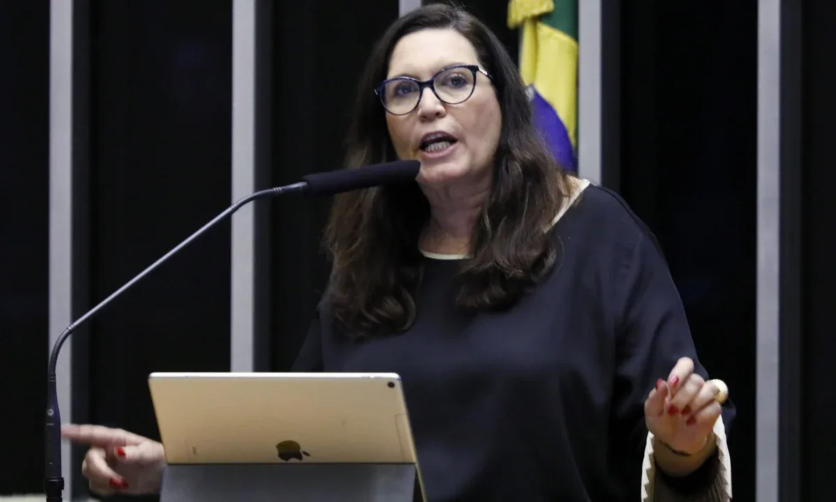 Dino encaminha ao TRE apuração sobre possível propaganda para Bia Kicis