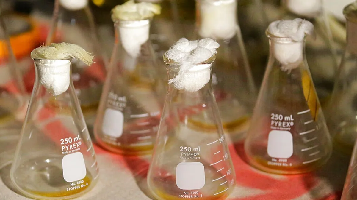 Morte em laboratório russo reacende dúvidas sobre armas biológicas de peste