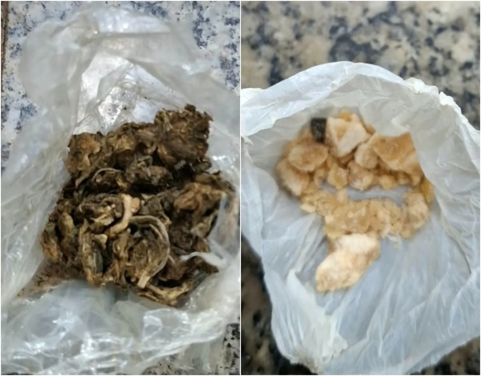 Polícia apreende skunk e crack após perseguição a jovem em Boa Vista