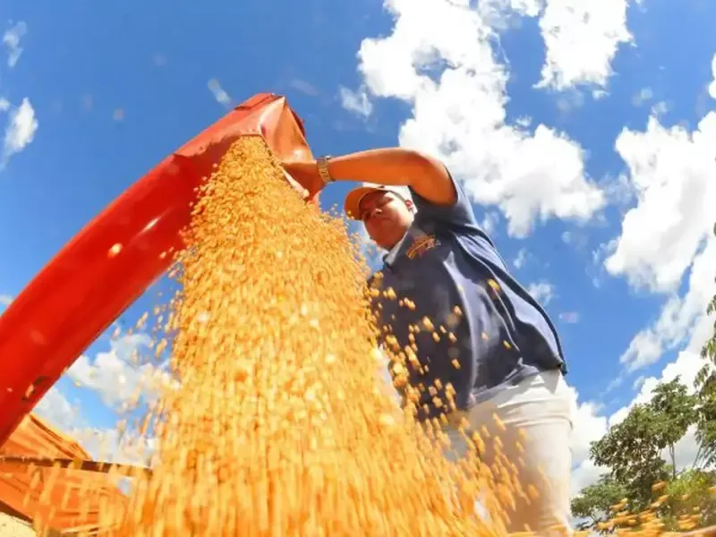 Custo dos fertilizantes limita ganhos do agronegócio brasileiro