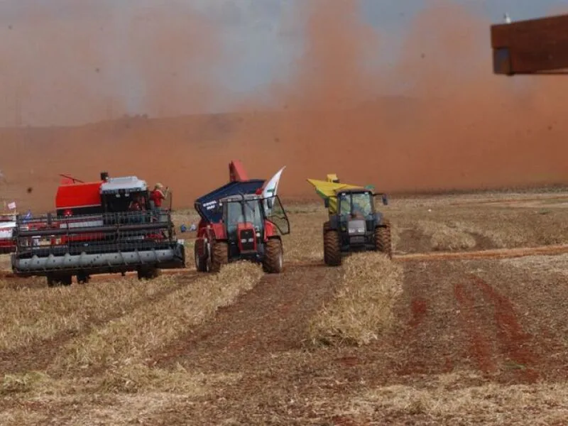 Soja responde por um terço do valor da agricultura brasileira em 2025