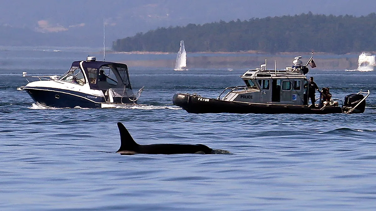 Memorando do FWS pode excluir mortes acidentais de animais protegidos da lei