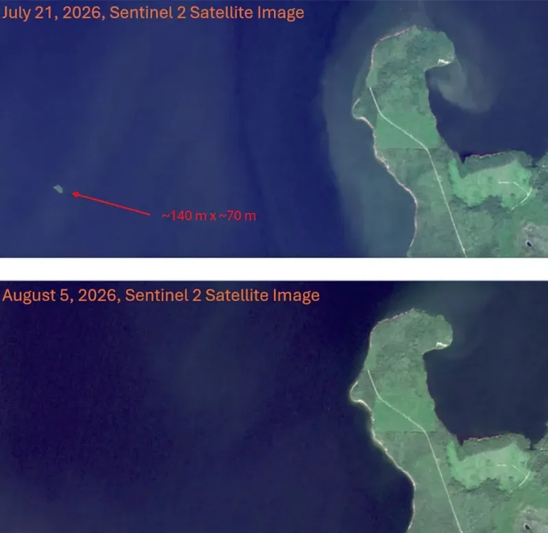 Ilha flutuante com árvores é identificada no Lago Williston, no Canadá