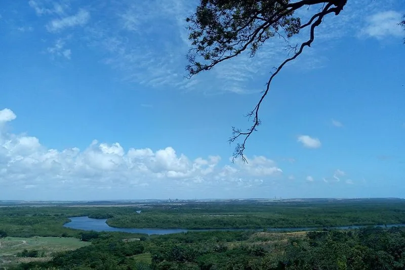 MPF pede responsabilização por desmate e criação de gado em reserva de Goiás