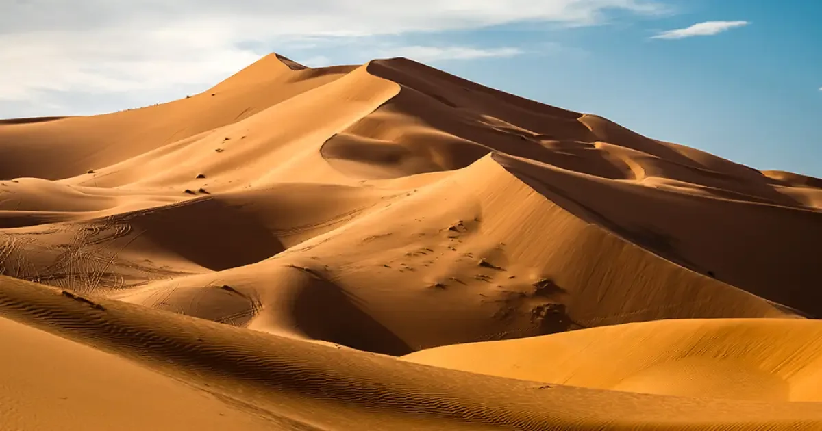 Desertificação degrada solos e ameaça áreas férteis em todo o mundo