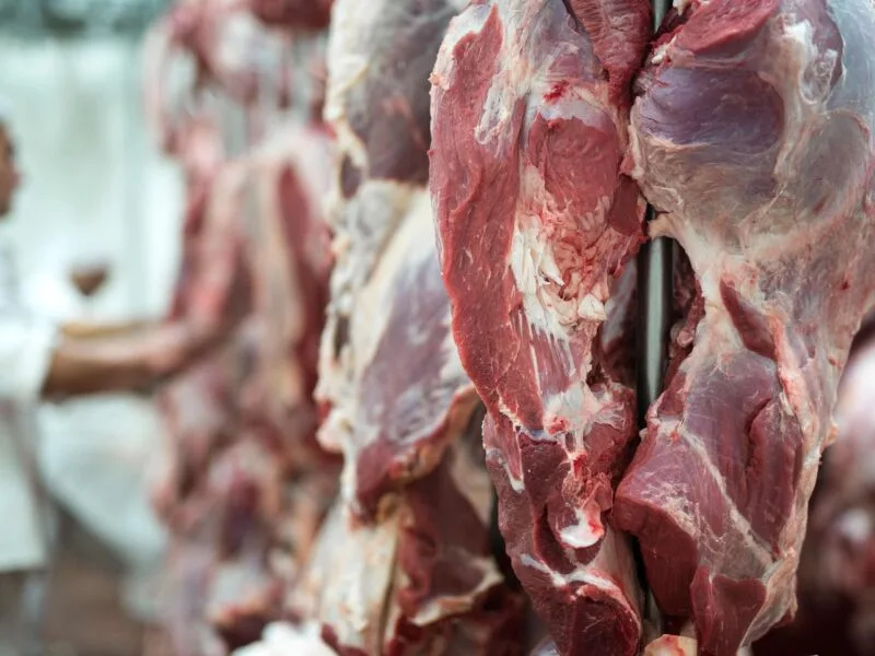 UE prevê retomada da carne bovina brasileira só após dois anos