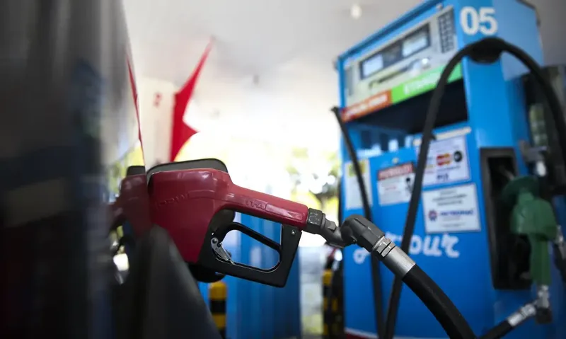 Opep vê riscos de atraso em projetos offshore no Brasil e mantém previsões econômicas