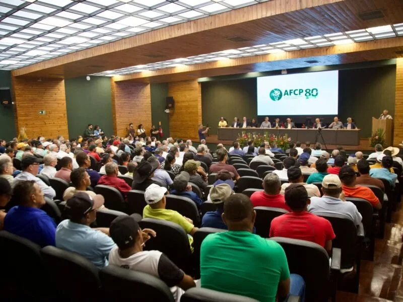 Subvenção para canaviais do Nordeste pode alcançar R$ 270 milhões