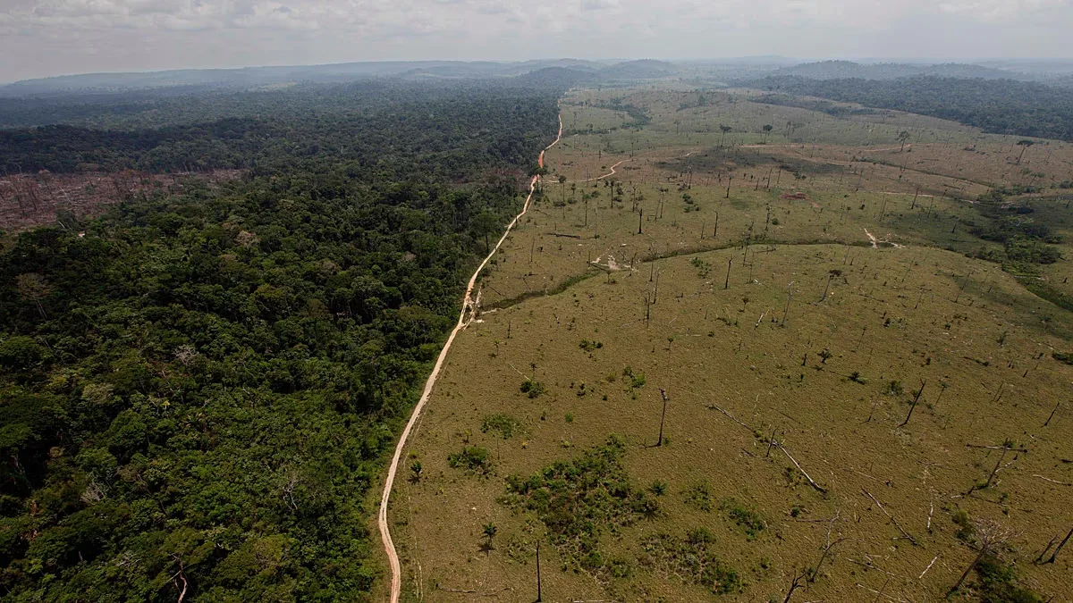 Cinco frentes de ação podem acelerar a recuperação do clima e da natureza