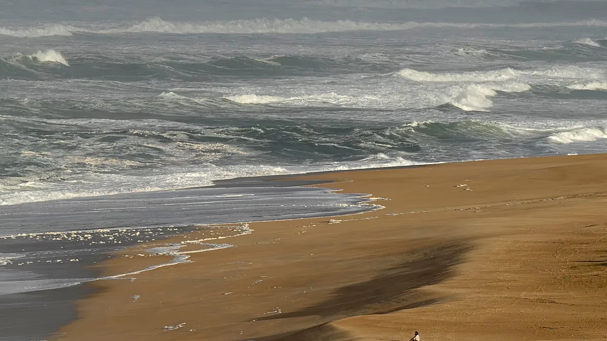 GNR não confirma desembarque de migrantes em praia de Sesimbra