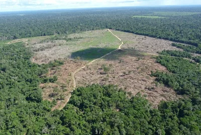 Fazendeiro é condenado a recuperar área degradada em terra indígena de Mato Grosso