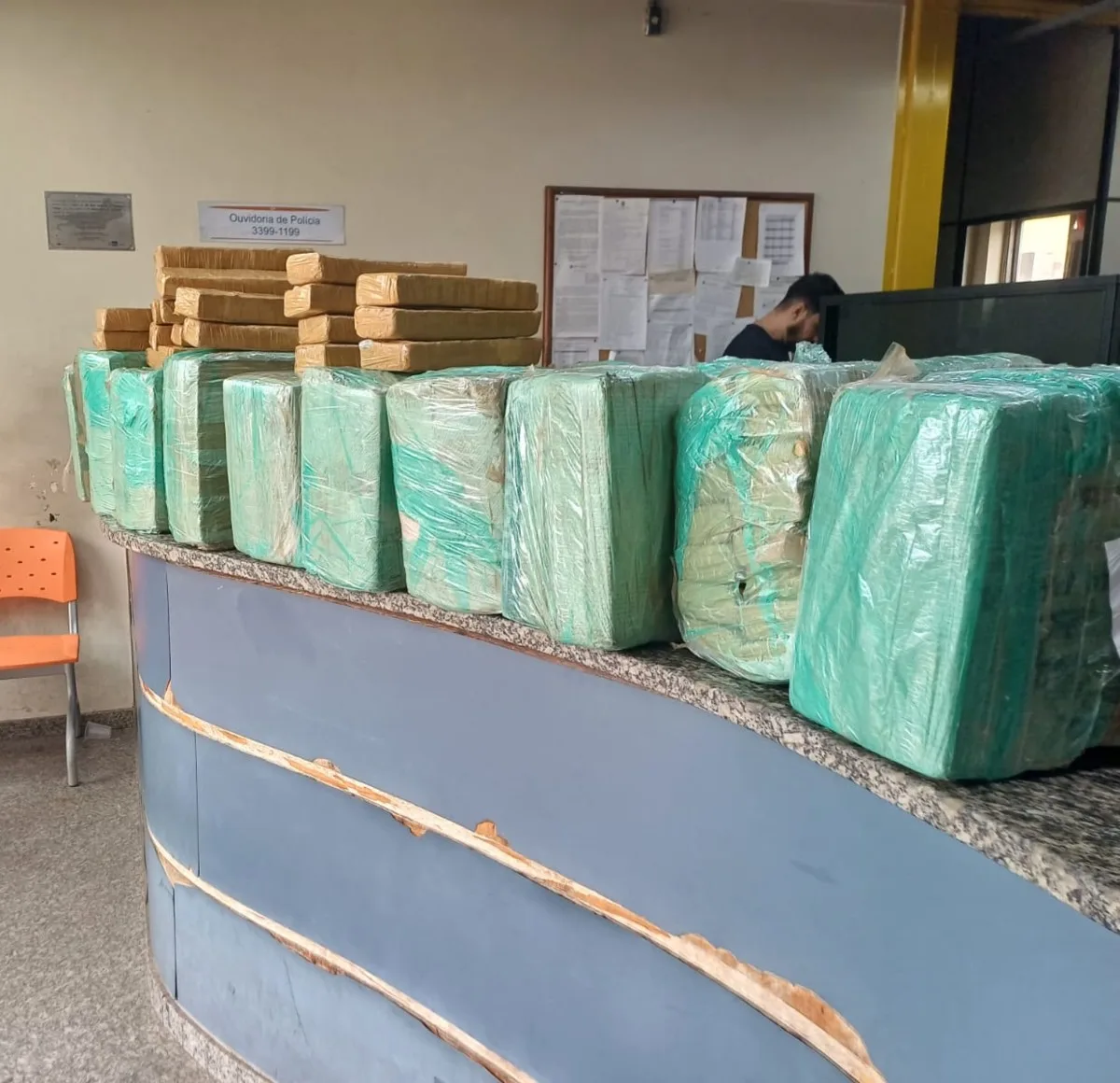 PRF encontra 232 kg de maconha em carro capotado na Via Dutra