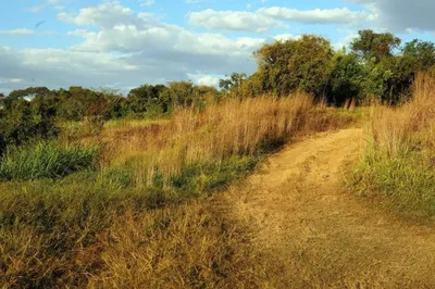 TRF1 reabre ação sobre títulos de terra em área urbana de Porto Velho
