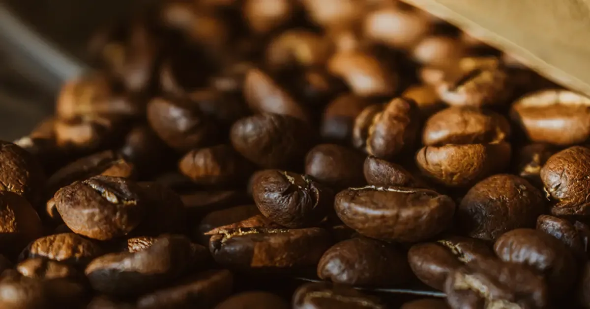 Estudo associa café com e sem cafeína a mudanças no intestino e no cérebro