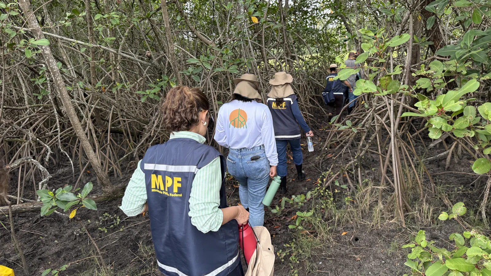 MPF acompanha recuperação de manguezal em ilha da Laguna Mundaú