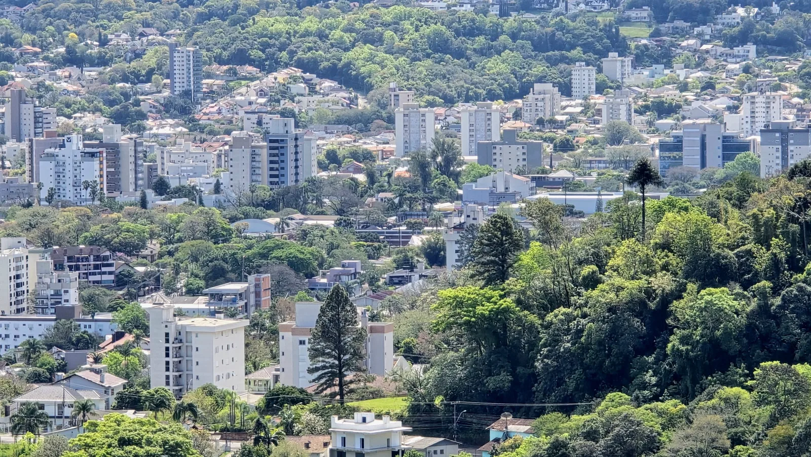 Emendas alteram proposta de Plano Diretor de Arborização em Santa Cruz do Sul