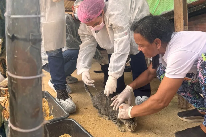 Animais acolhidos em São Cristóvão recebem atendimento veterinário