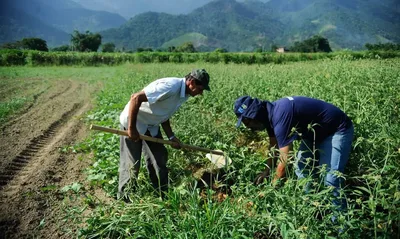BNDES mantém linha de crédito rural para custeio, investimentos e equipamentos