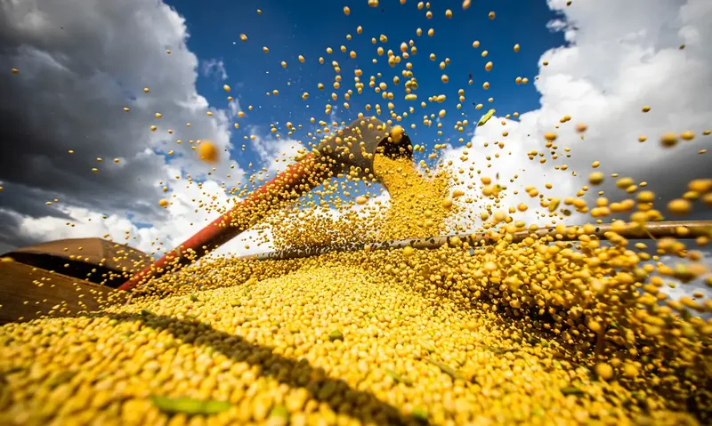 Planos para o agro gaúcho incluem irrigação, crédito e reforma agrária