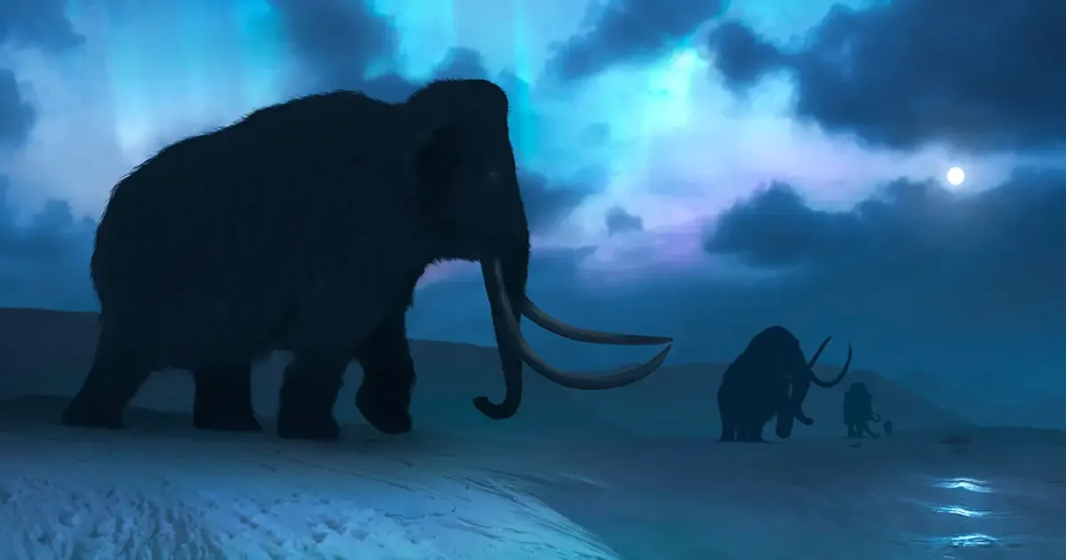 Mamutes e mastodontes tinham diferenças na época, nos dentes e no habitat