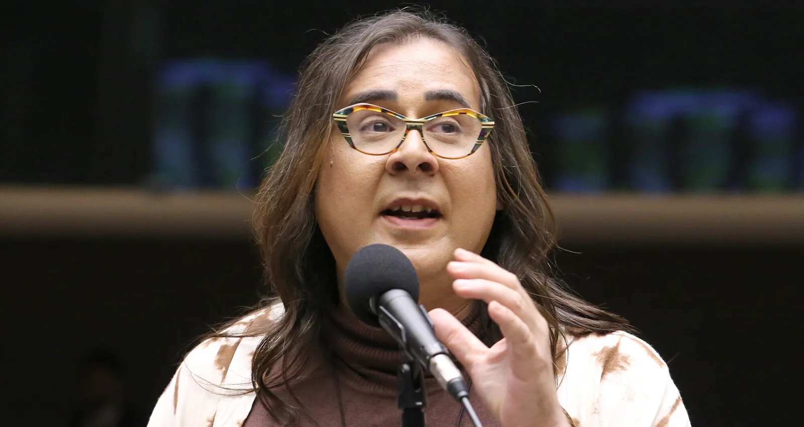 Duda Salabert diz ter sido atacada ao investigar extração ilegal em Minas