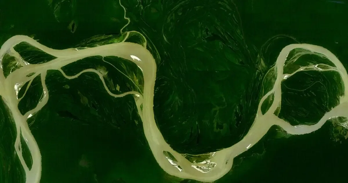 Planos de nove candidatos à Presidência detalham propostas para clima e Amazônia