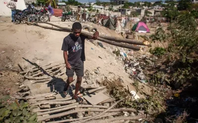 Crise energética e violência aceleram desmatamento no Haiti
