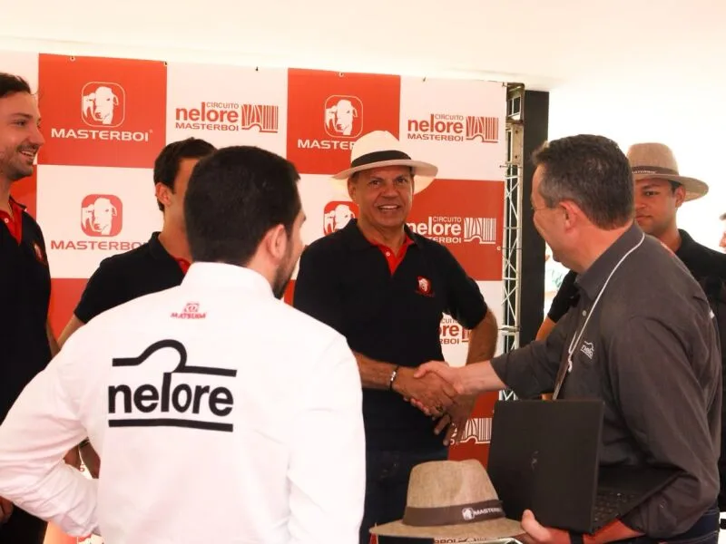 Etapa em Canhotinho reúne 1.536 bovinos e 51 pecuaristas no circuito Nelore