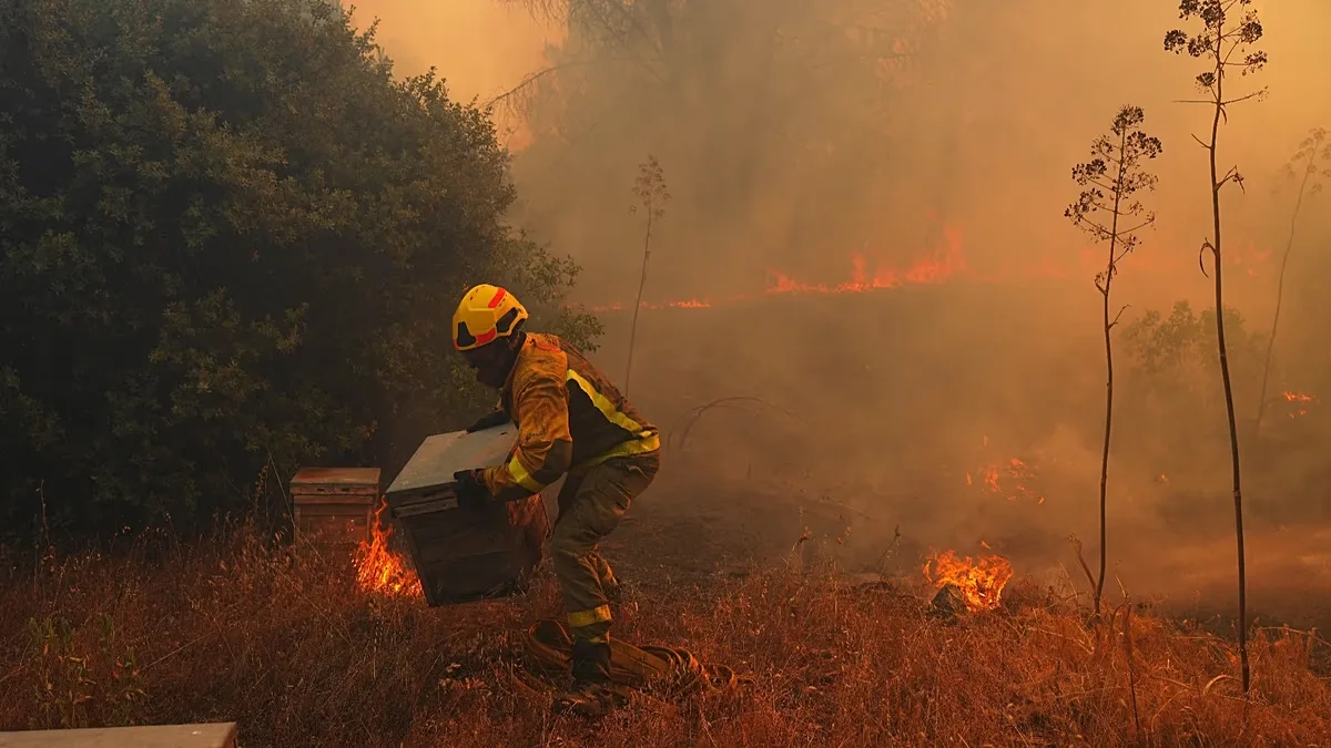 Crianças europeias terão mais exposição a incêndios extremos, aponta estudo