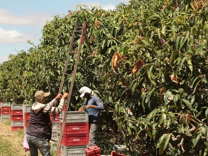 Agroamigo alcança R$ 9 bilhões em crédito em 2026