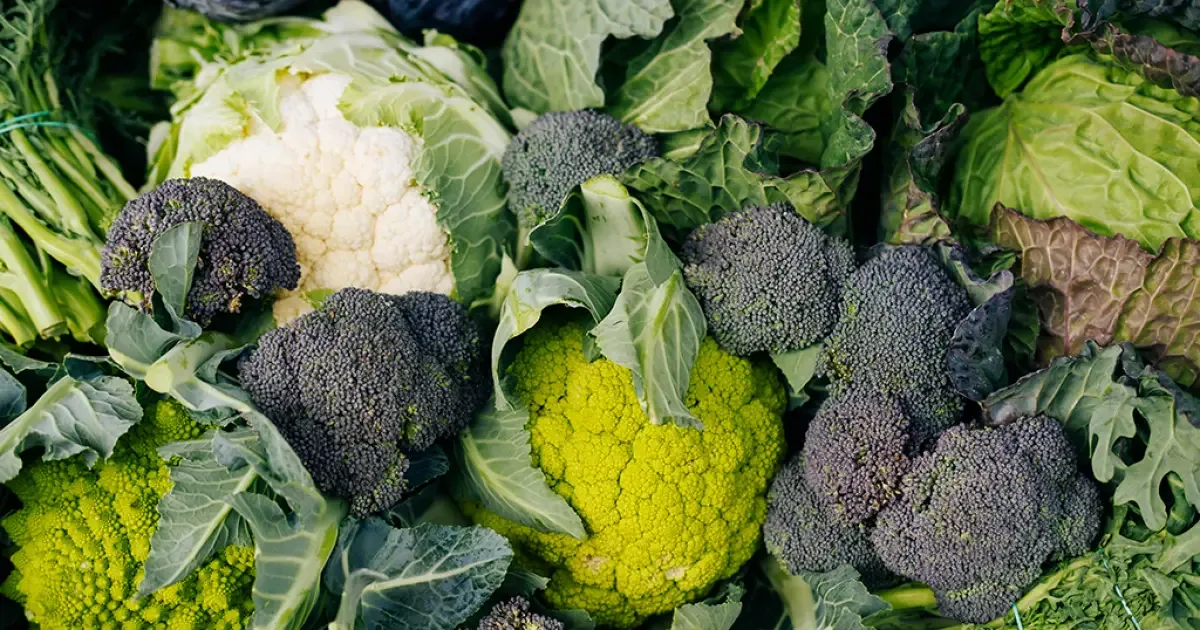 Estudo relaciona vitamina K1 a melhor função pulmonar