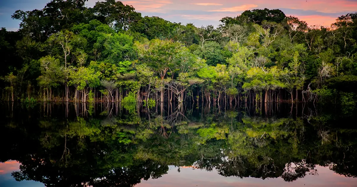 Amazônia perde capacidade de regular chuvas, alertam pesquisadoras