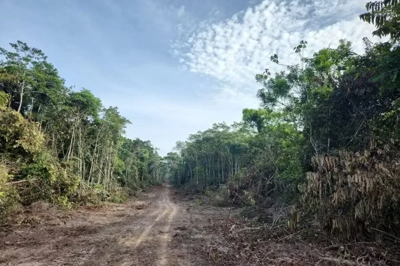 MPF exige que Acre restabeleça bloqueio do Ramal Barbary